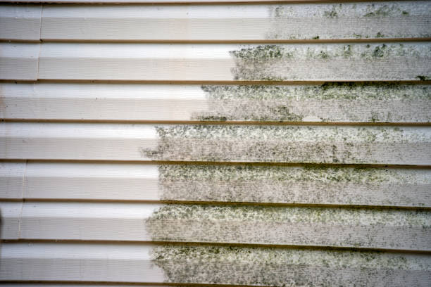 Best James Hardie Siding  in Reisterstown, MD